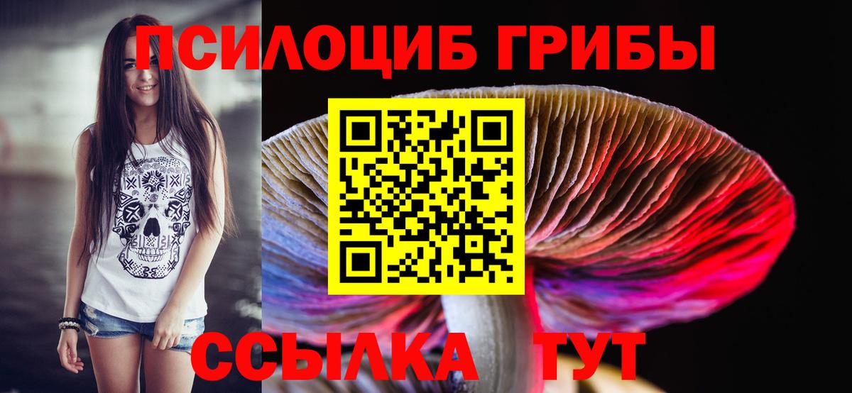 Астрахань  Псилоцибиновые грибы Cubensis  Вход с VPN  Галлюциногенные грибы MAGIC MUSHROOMS 