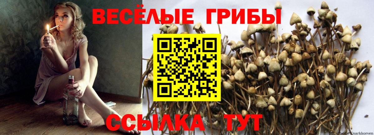 Псилоцибиновые грибы мухоморы Астрахань