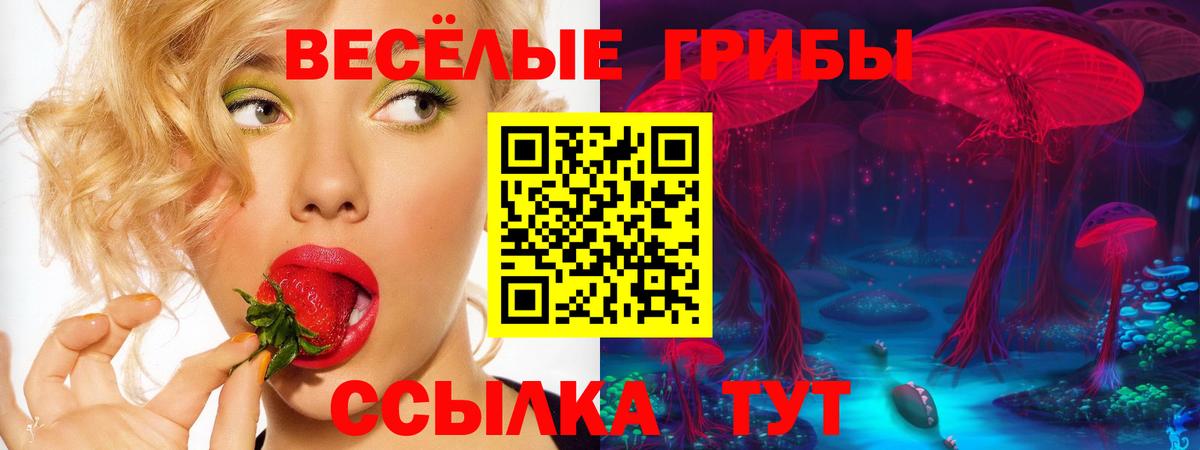 Псилоцибиновые грибы мухоморы  Галлюциногенные грибы GOLDEN TEACHER  где купить наркоту  Астрахань 